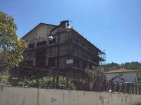 IMG_1390